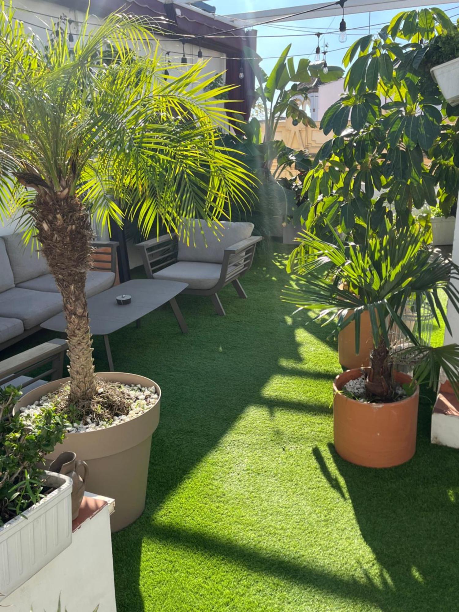 Atico Suite Con Terraza Totalmente Privada En Pleno Centro Historico De Sevilla Eksteriør bilde